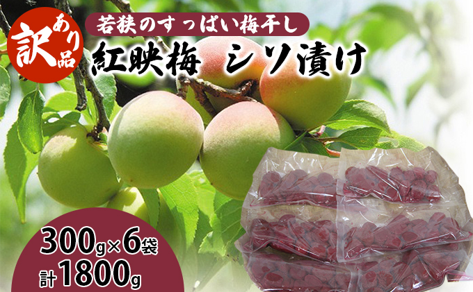 若狭のすっぱい梅干し　訳あり品（300gを6袋、合計1800g）紅映梅　シソ漬け しそ漬け 昔ながらのすっぱい 梅ぼし 塩分18％ 紅映梅は種が小さく肉厚 おにぎりの具 お弁当 