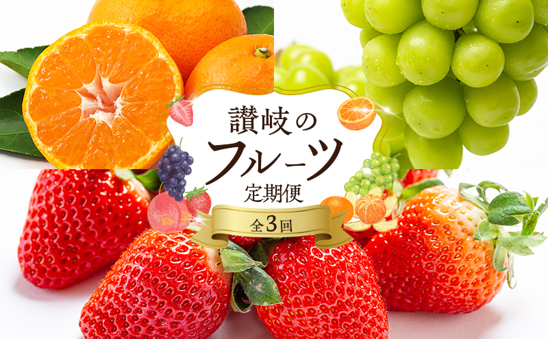 フルーツ 定期便 3ヶ月 果物 旬のフルー