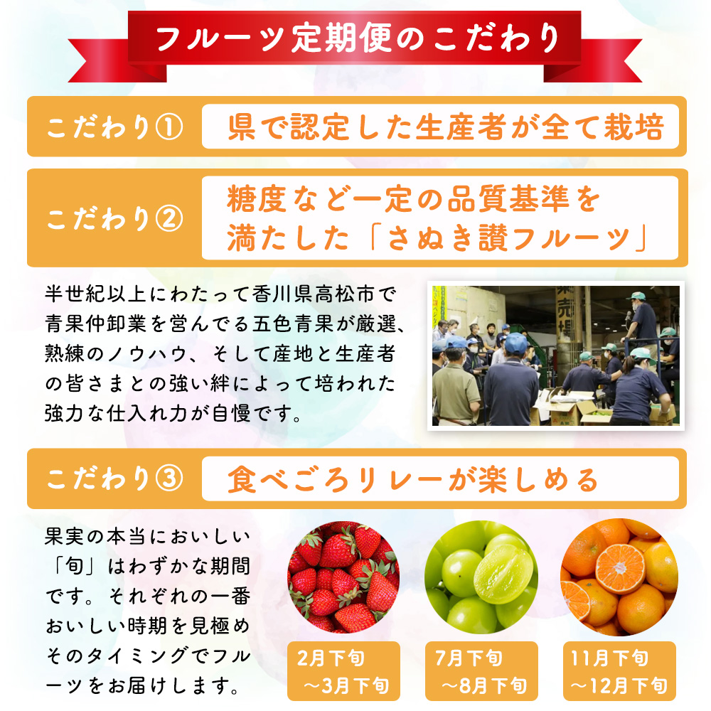 香川県東かがわ市のふるさと納税 フルーツ 定期便 3ヶ月 果物 旬のフルーツ 旬の果物 香川県産 さぬきひめ シャインマスカット 温州みかん いちご ぶどう マスカット みかん 3回 お楽しみ 香川 香川県 東かがわ市