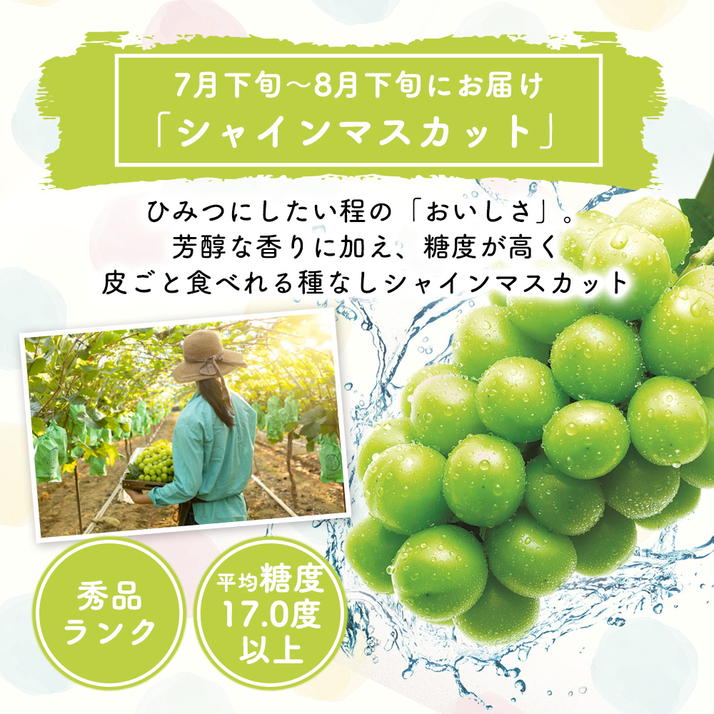 香川県東かがわ市のふるさと納税 フルーツ 定期便 3ヶ月 果物 旬のフルーツ 旬の果物 香川県産 さぬきひめ シャインマスカット 温州みかん いちご ぶどう マスカット みかん 3回 お楽しみ 香川 香川県 東かがわ市