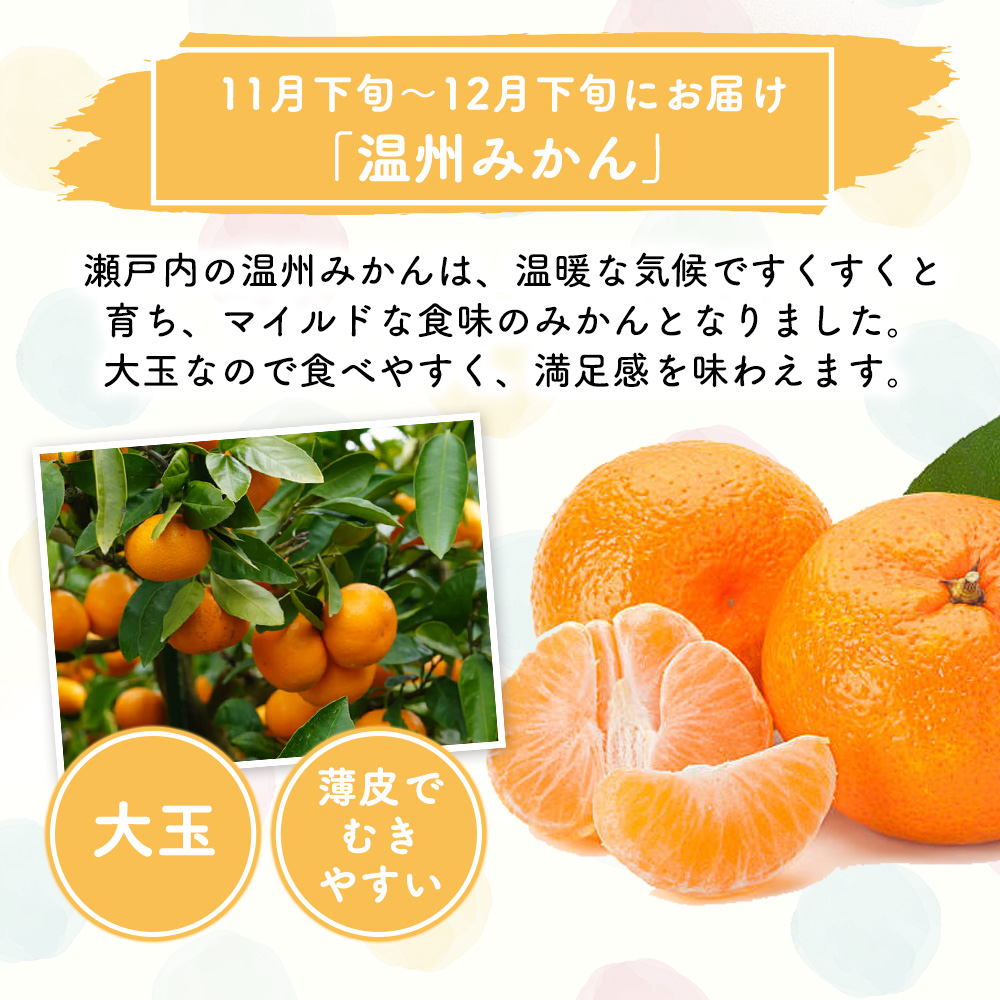 香川県東かがわ市のふるさと納税 フルーツ 定期便 3ヶ月 果物 旬のフルーツ 旬の果物 香川県産 さぬきひめ シャインマスカット 温州みかん いちご ぶどう マスカット みかん 3回 お楽しみ 香川 香川県 東かがわ市