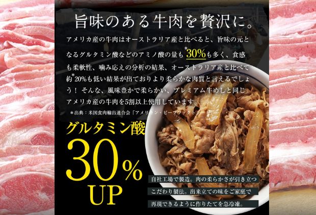 牛丼 松屋 乳酸菌入 プレミアム仕様 牛めしの具 10個 冷凍 セット 冷凍食品 食品 惣菜 n1 