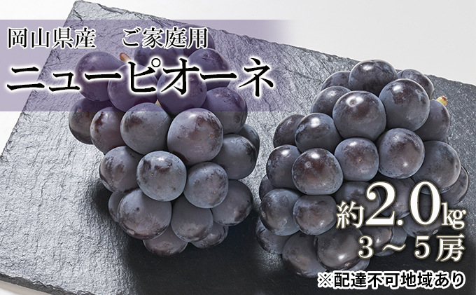 【岡山県瀬戸内市】ぶどう 2026年 先行予約 ご家庭用 ニュー ピオーネ 約2.0kg (3〜5房) ブドウ 葡萄  岡山県産 国産 フルーツ 果物
