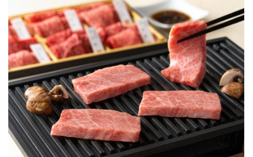 【カネ吉山本】近江牛・定番焼肉6種盛り合わせ（匠）【420g】【Y108W】