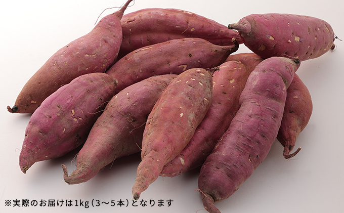 訳あり 絶品 紅はるか 1kg サイズ混合 お試し 国産 さつまいも サツマイモ さつま芋 いも 芋 野菜 根菜 べにはるか 旬の野菜 季節の野菜 焼きいも ふかし芋 ほし芋 家庭用 訳アリ imo.dot