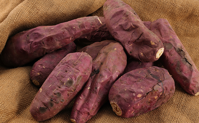 絶品 冷凍 やきいも 6本 国産 冷やし焼き芋 冷凍やきいも おやつ スイーツ デザート ダイエット ダイエット食 紅はるか さつまいも サツマイモ さつま芋 いも 芋 野菜 根菜 べにはるか 旬の野菜 季節の野菜 焼きいも imo.dot