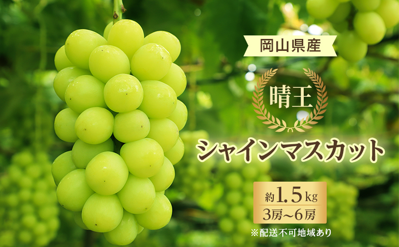 【岡山県里庄町】ぶどう 2025年 先行予約 シャイン マスカット 晴王 3房〜6房 約1.5kg 8月下旬〜11月下旬発送 ブドウ 葡萄 岡山県産 国産 フルーツ 果物 ギフト
