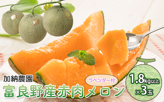 【北海道富良野市】【2026年7月〜発送】富良野産 赤肉 メロン ≪ラベンダー付≫ 1.8kg以上×3玉 北海道 富良野市 (加納農園) メロン フルーツ 果物 新鮮 甘い 贈り物 ギフト 道産 ジューシー おやつ ふらの ブランド 夏