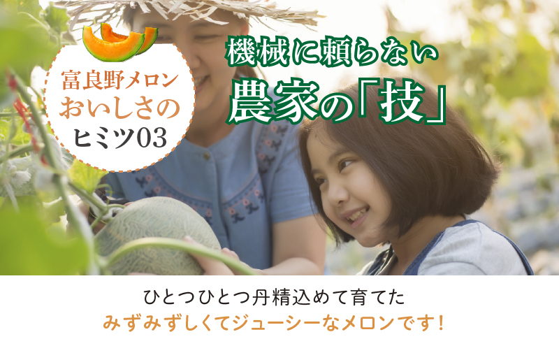 【2026年7月中旬～発送】※訳あり※ 富良野 メロン 約8kg 〈3玉～8玉入り〉北海道 富良野市 (スイートベジタブルファクトリー) メロン フルーツ 果物 新鮮 甘い 贈り物 ギフト 道産 ジューシー おやつ ふらの ブランド 夏 