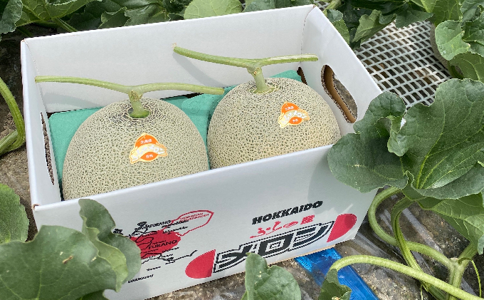 【2026年7月上旬～発送】ふらの 赤肉 メロン 2kg以上×2玉 北海道 富良野市（高見農園）メロン フルーツ 果物 新鮮 甘い 贈り物 ギフト 道産 ジューシー おやつ ふらの ブランド 夏 