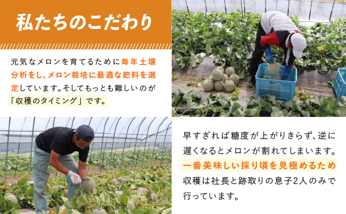 【2026年夏発送】北海道 富良野産 赤肉メロン 4～6玉 大箱8kg (中山農園) メロン フルーツ 果物 新鮮 甘い 贈り物 ギフト 道産 ジューシー おやつ ふらの ブランド 夏 