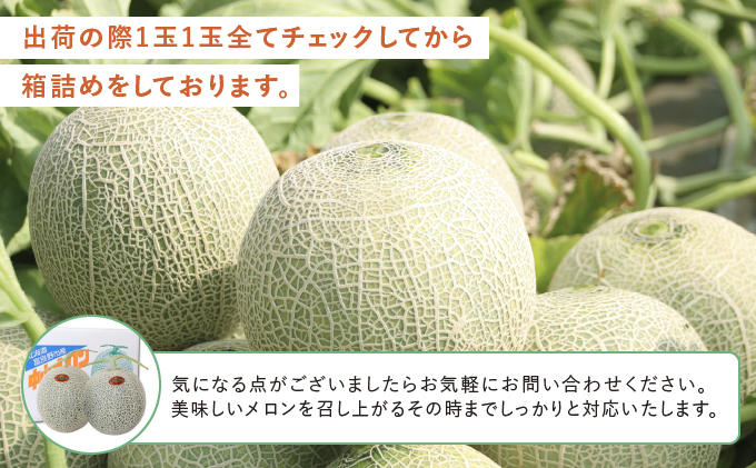 南富良野産　赤肉メロン　４玉　計8kg　正品　贈答用 2025年夏発送】北海道 富良野産 赤肉メロン 4～6玉 大箱8kg