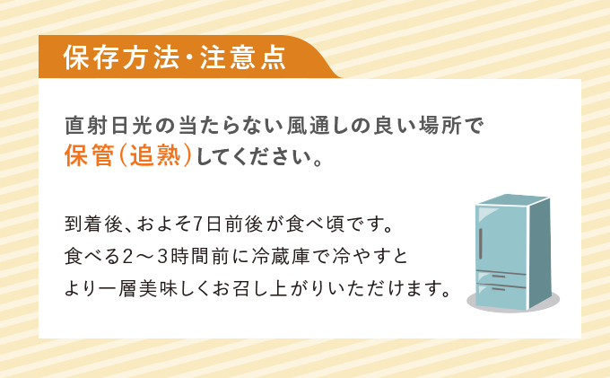 【2026年夏発送】北海道 富良野産 赤肉メロン 1玉 大玉サイズ (中山農園) メロン フルーツ 果物 新鮮 甘い 贈り物 ギフト 道産 ジューシー おやつ ふらの ブランド 夏 