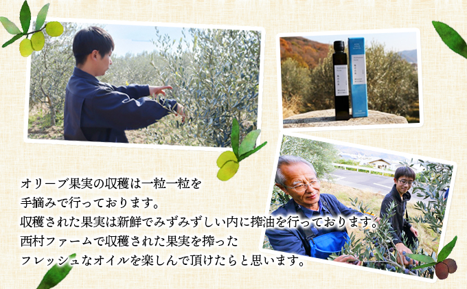 予約商品【 小豆島 】[小豆島産100％] エキストラバージン オリーブオイル 100ml [ルッカ種] 実りの丘※2025年12月発送開始