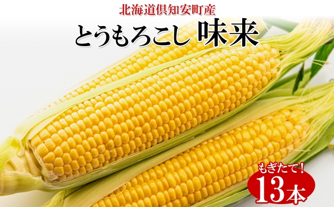 ykCmzy 2026N o z kCY  CG[ Ƃ낱  ݂炢 2LTCY 13{ 5kg 傫 Ė Ƃ VN  gERV Mtg Yn R[ Y O[A[Xt@[ XC[gR[
