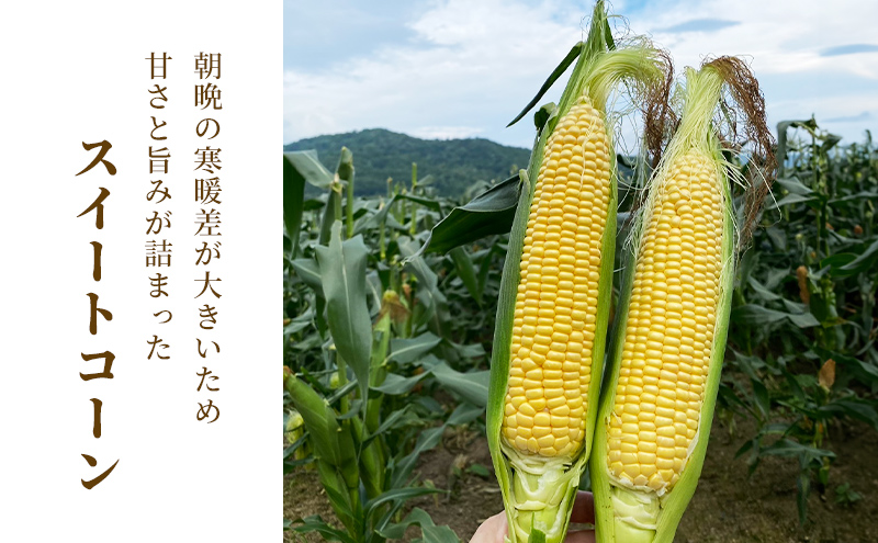 2026年夏発送 ［武田農園とれたて直送］スイートコーン わくわくコーン 2L 10本 みずみずしく抜群にあまい！北海道 富良野産 (とうもろこし 野菜 新鮮 とうきび 甘い 産地直送 先行予約 限定)