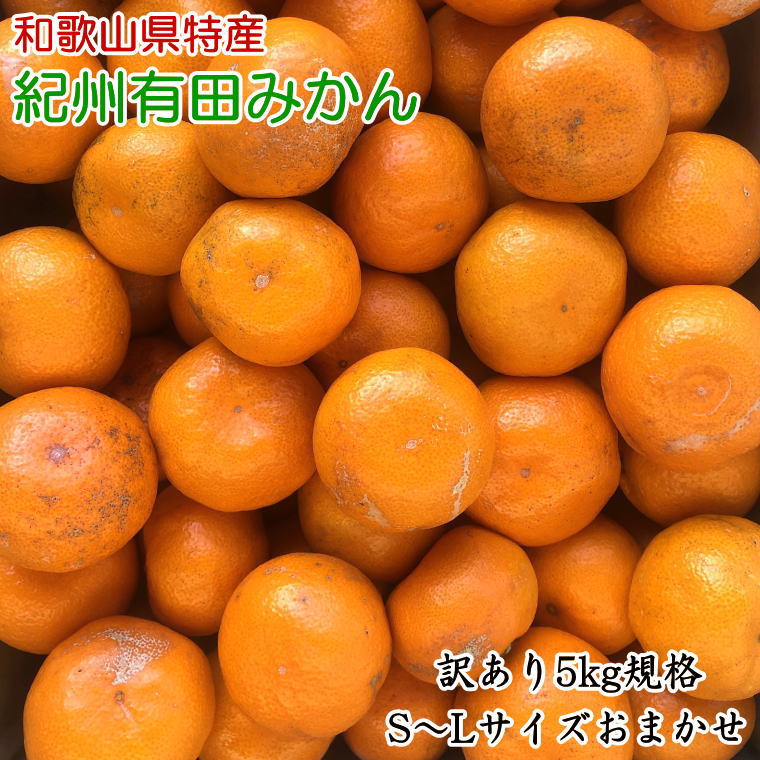 八朔合馬 hassakusp.jpg