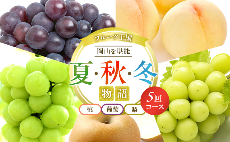 yRʖszt[c  2026N s\ t[c R\ 5R[X    Ԃǂ  ȂRY Y ʕ Zbg Mtg YԂǂ j[sI[l VC}XJbg 