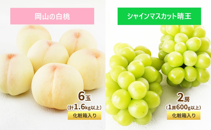 フルーツ 定期便 2026年 先行予約 フルーツ王国 岡山 ベストセレクト 2回コース 桃 もも 葡萄 ぶどう マスカット 岡山県産 国産 果物 セット ギフト 旬のフルーツ 果汁きめ細やか 岡山の白桃 晴王 