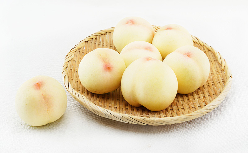 フルーツ 定期便 2026年 先行予約 フルーツ王国 岡山 ベストセレクト 2回コース 桃 もも 葡萄 ぶどう マスカット 岡山県産 国産 果物 セット ギフト 旬のフルーツ 果汁きめ細やか 岡山の白桃 晴王 