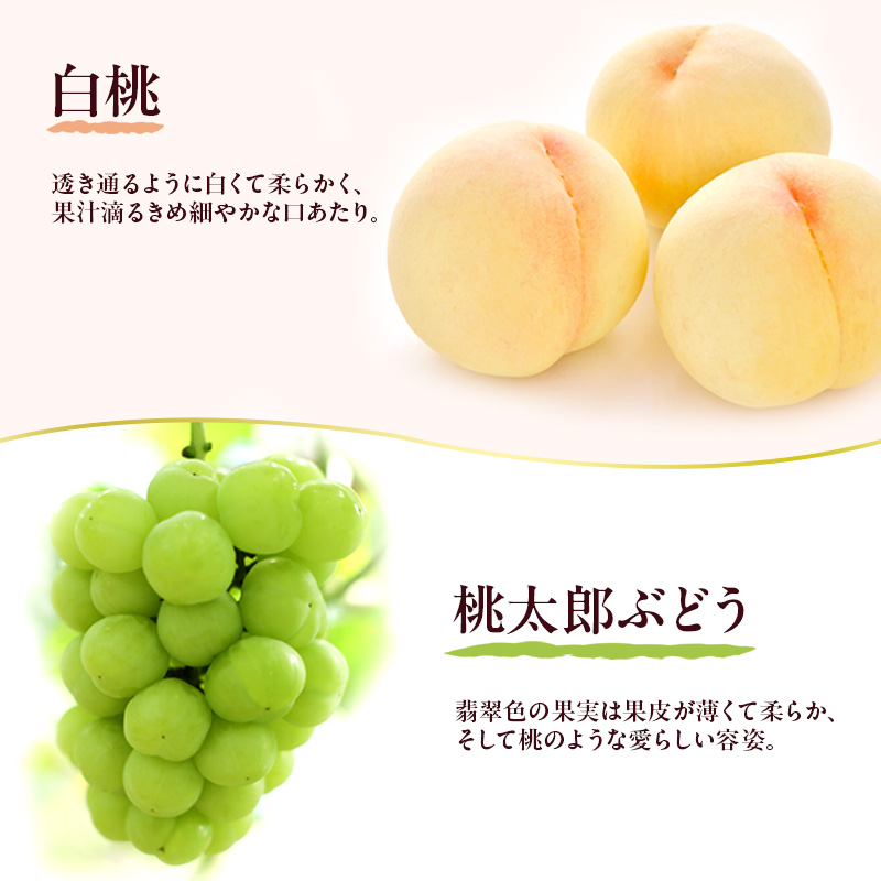 フルーツ 定期便 2026年 先行予約 フルーツ王国 岡山を堪能 5回コース 桃 もも 葡萄 ぶどう 梨 なし岡山県産 国産 果物 セット ギフト 桃太郎ぶどう ニューピオーネ シャインマスカット あたご梨 