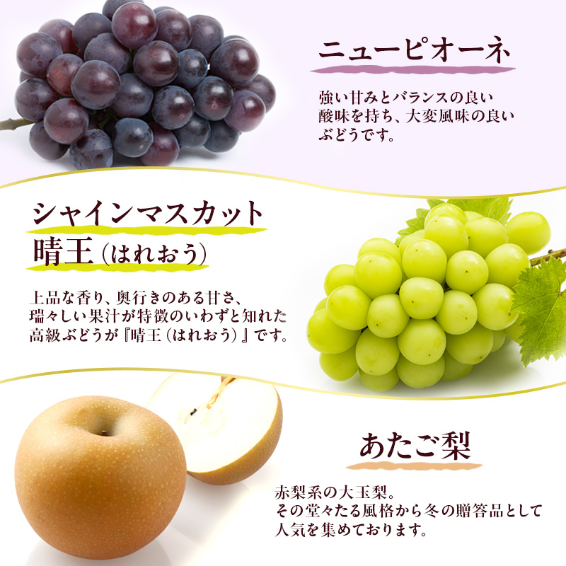 フルーツ 定期便 2026年 先行予約 フルーツ王国 岡山を堪能 5回コース 桃 もも 葡萄 ぶどう 梨 なし岡山県産 国産 果物 セット ギフト 桃太郎ぶどう ニューピオーネ シャインマスカット あたご梨 