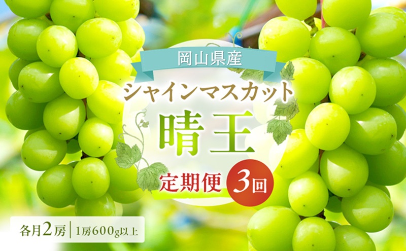 yRʖszԂǂ  2026N s\ VC }XJbg  e2[i1[600gȏj 3R[X }XJbg uhE   RY Y t[c ʕ Mtg iȍ ō 嗱 Ȃ 炲