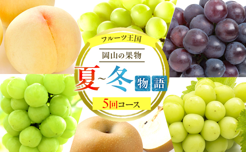 yRʖszt[c  2026N s\ t[c R̉ʕ 5R[X ā`~     Ԃǂ  ȂRY Y ʕ Zbg Mtg VC}XJbg 