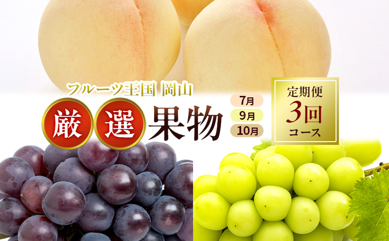 yRʖszt[c  2026N s\ t[c R I ʕ i7 9 10j3R[X    Ԃǂ RY Y Zbg Mtg j[sI[l VC}XJbg  {̉ʕ