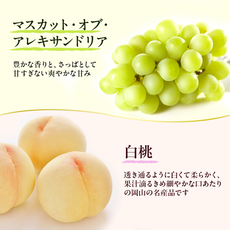 フルーツ 定期便 2026年 先行予約 フルーツ王国 岡山の果物 5回コース 夏～冬物語  桃 もも 葡萄 ぶどう 梨 なし岡山県産 国産 果物 セット ギフト シャインマスカット あたご梨 