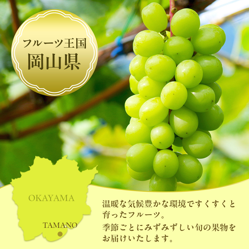 フルーツ 定期便 2026年 先行予約 フルーツ王国 岡山 厳選 果物 （7月 9月 10月）3回コース 桃 もも 葡萄 ぶどう 岡山県産 国産 セット ギフト ニューピオーネ シャインマスカット 晴王 旬の果物 