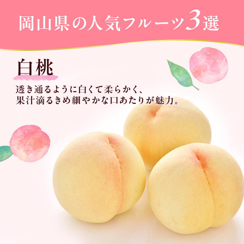 フルーツ 定期便 2026年 先行予約 フルーツ王国 岡山 厳選 果物 （7月 9月 10月）3回コース 桃 もも 葡萄 ぶどう 岡山県産 国産 セット ギフト ニューピオーネ シャインマスカット 晴王 旬の果物 