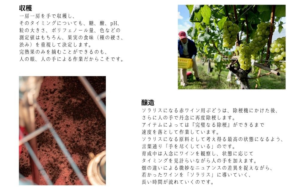 日本ワイン ソラリス 小諸 メルロー 750ml×1本 ワイン 赤ワイン マンズワイン 酒 お酒 洋酒 果実酒 ぶどう酒 長野 長野県小諸市 