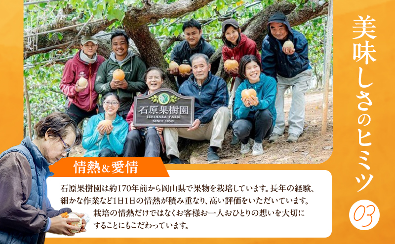 梨 2026年 先行予約 あたご梨・鴨梨（ヤーリー）詰合せ 合計約2kg あたご1～2玉 鴨梨2玉 贈答箱 【11月下旬～12月中旬頃発送】ナシ なし 岡山県産 国産 フルーツ 果物 ギフト 石原果樹園 