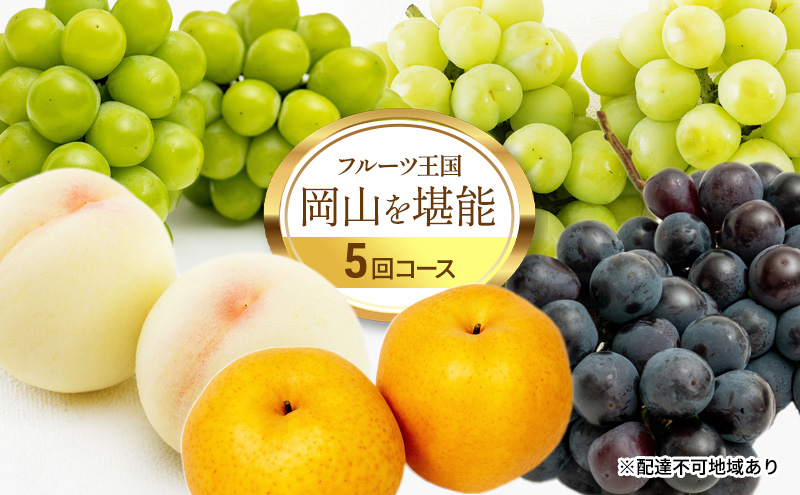 yR˓szt[c  2026N s\ t[c R\ 5R[X    Ԃǂ  ȂRY Y ʕ Zbg Mtg _炩 }XJbg Â _   