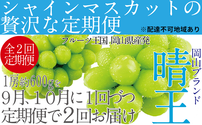 ぶどう 2025年 先行予約 9月・10月発送 シャイン マスカット 晴王 1房 約600g ブドウ 葡萄  岡山県産 国産 フルーツ 果物 ギフト デザート 食後 酸味が少ない 産地直送 