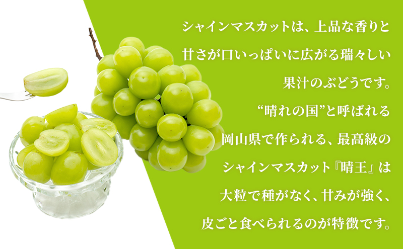 ぶどう 定期便 2026年 先行予約 シャイン マスカット 晴王 各月2房（1房600g以上） 2回コース マスカット ブドウ 葡萄  岡山県産 国産 フルーツ 果物 ギフト 大粒 高級 甘い 弾力 