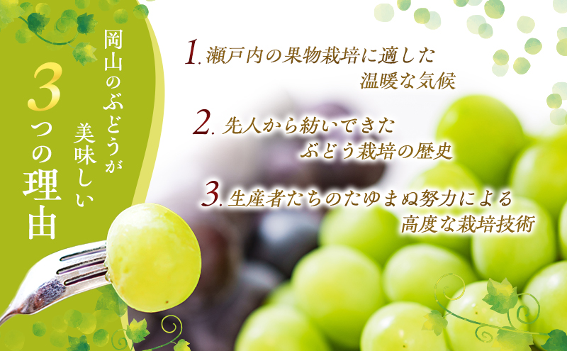 ぶどう 2025年 先行予約 ご家庭用 シャイン マスカット 2房 1房600g～700g 8月下旬～9月中旬発送分 ブドウ 葡萄 フルーツ 果物 岡山 赤磐市産 農マル園芸 あかいわ農園 