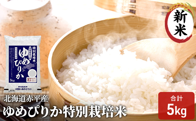 ykCԕszkCԕY ߂҂肩 5kg ʍ͔|   kC