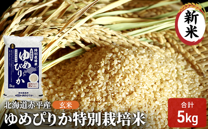 ykCԕsz kCԕY ߂҂肩 5kg ʍ͔|  kC  ӂ邳Ɣ[