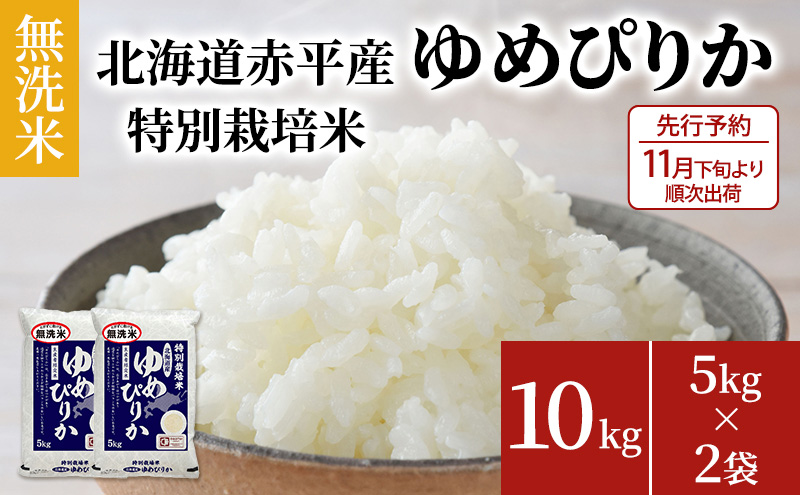 ykCԕszys\2025NYāE11{菇oׁz kCԕY ߂҂肩 10kg (5kg×2) ʍ͔|  kC  ӂ邳Ɣ[
