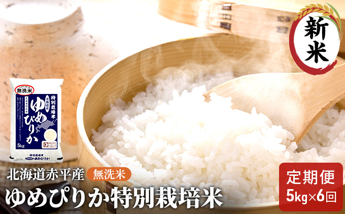 無洗米 北海道赤平産 ゆめぴりか 5kg 特別栽培米 【6回お届け】 米 北海道 定期便 ふるさと納税 