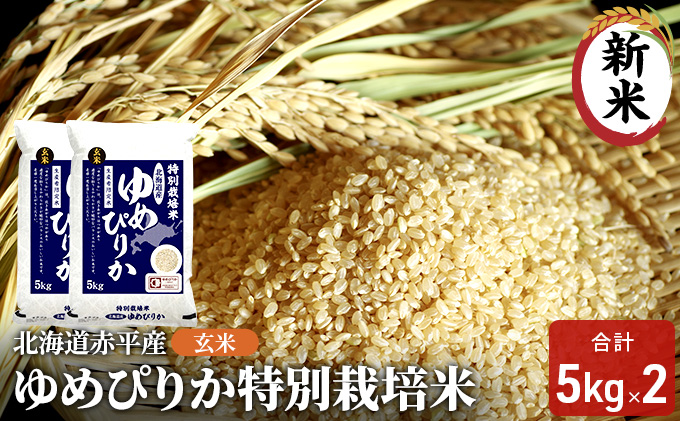 玄米 北海道赤平産 ゆめぴりか 10kg (5kg×2袋) 特別栽培米 米 北海道 お米 ふるさと納税 