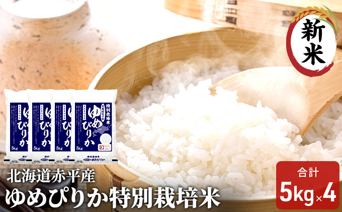 ykCԕszkCԕY ߂҂肩 20kg (5kg×4) ʍ͔|  kC  ӂ邳Ɣ[