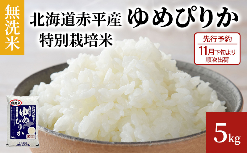 ykCԕszys\2025NYāE11{菇oׁz kCԕY ߂҂肩 5kg ʍ͔|  kC  ӂ邳Ɣ[