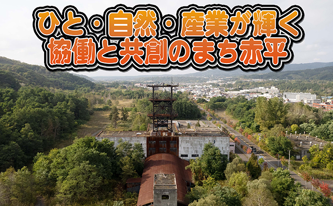 たかはしジンギスカン（ラム）とホルモン（みそ味・塩味）3種セット（400g×各1袋）計1.2kg 羊肉 ラム肉 焼肉 冷凍 食べ比べ おうち焼肉 バーベキュー 