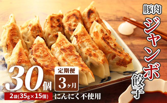 [3カ月定期便]北海道産豚肉のジャンボ餃子|北海道 滝川市 ギョウザ 餃子 ぎょうざ 中華 惣菜 お惣菜 定期便 連続お届け