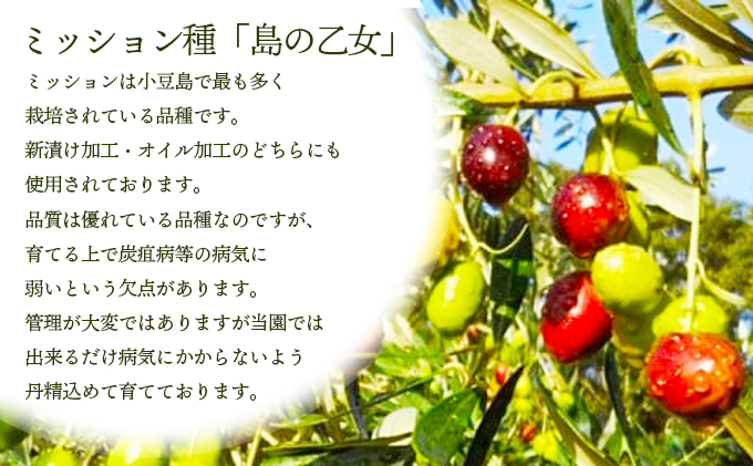 予約商品【 小豆島 】[小豆島産100％] エキストラバージン オリーブオイル 200ml[ミッション種] 島の乙女※2025年12月発送開始