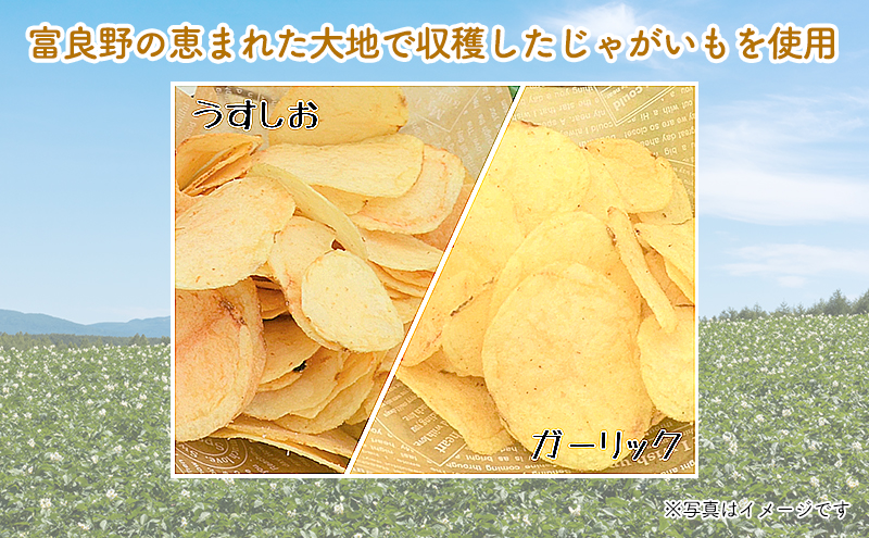 ポテトチップス 定期便 2ヶ月 北海道 ふらのっち 2種類(各12袋) 詰め合わせ セット JAふらの 食べ比べ じゃがいも スナック うすしお ガーリック のり塩 コンソメ チップス ポテト お菓子 おやつ 箱 農協 3ヵ月に1回お届け 定期 2回 