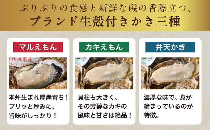 北海道 厚岸産 殻かき 三種 食べ比べ プレミアムセット 牡蠣 魚貝類 生牡蠣 殻付き牡蠣 カキ 